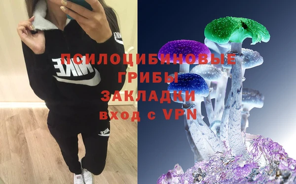 тгк Елабуга