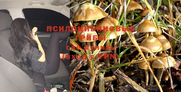 тгк Алексеевка