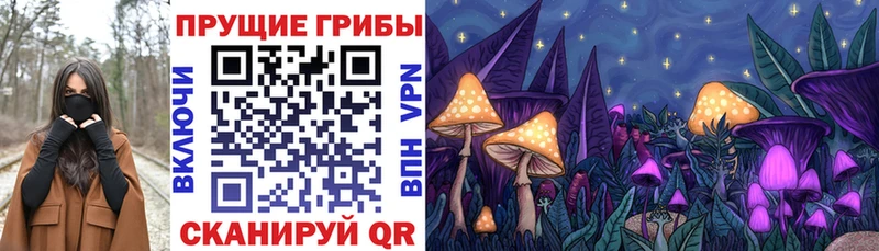 Галлюциногенные грибы MAGIC MUSHROOMS  цена наркотик  Жигулёвск 